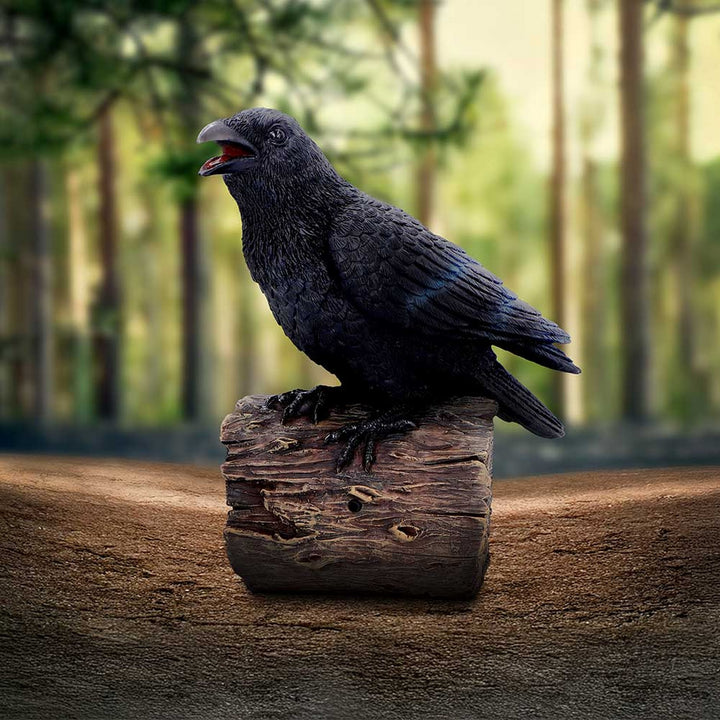 Ravens Cry With Motion Activated Sound D7085B25