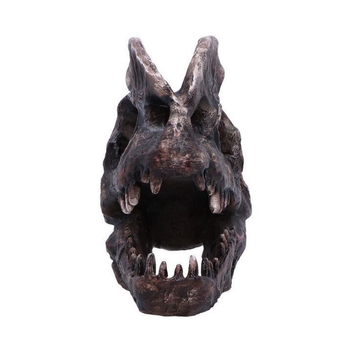 Dilophosaurus Skull Resin Replica D7103B25