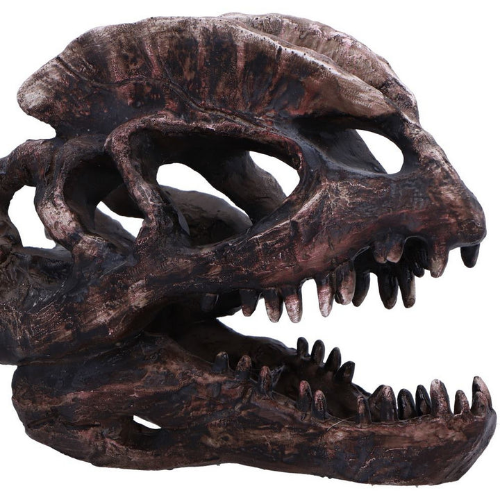 Dilophosaurus Skull Resin Replica D7103B25