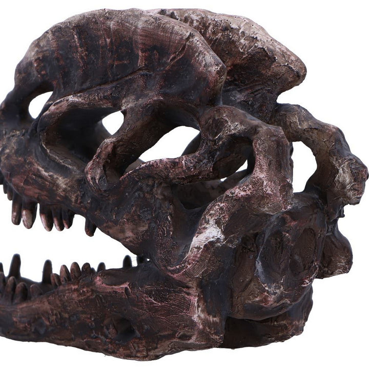 Dilophosaurus Skull Resin Replica D7103B25