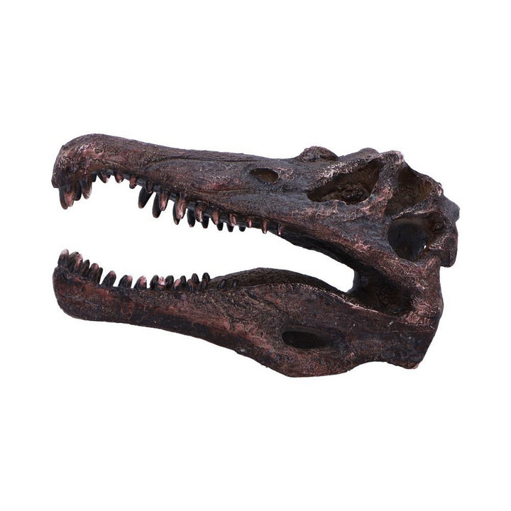 Spinosaurus Skull Resin Replica D7104B25