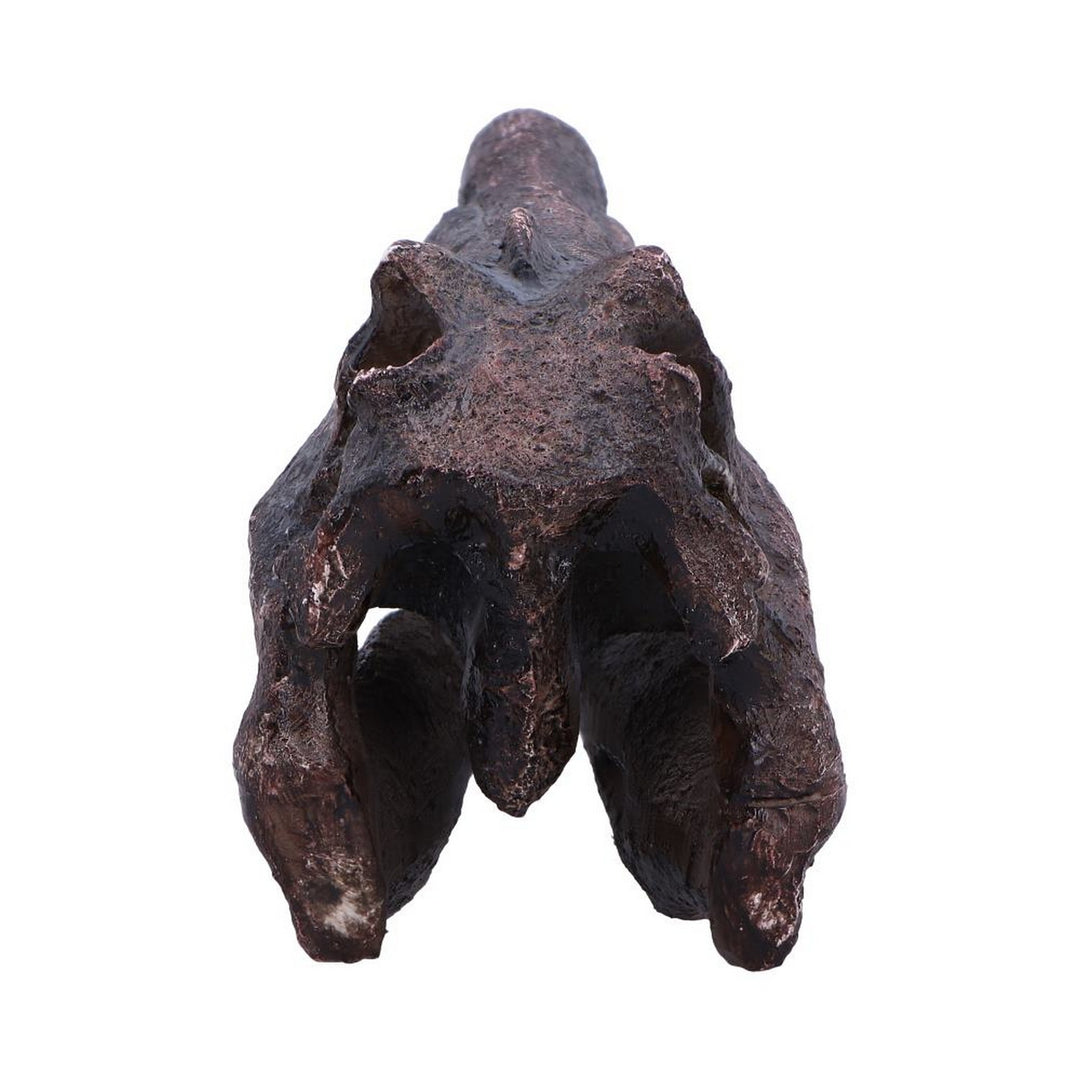 Spinosaurus Skull Resin Replica D7104B25