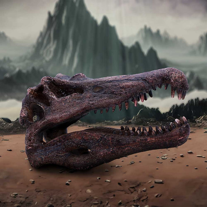 Spinosaurus Skull Resin Replica D7104B25