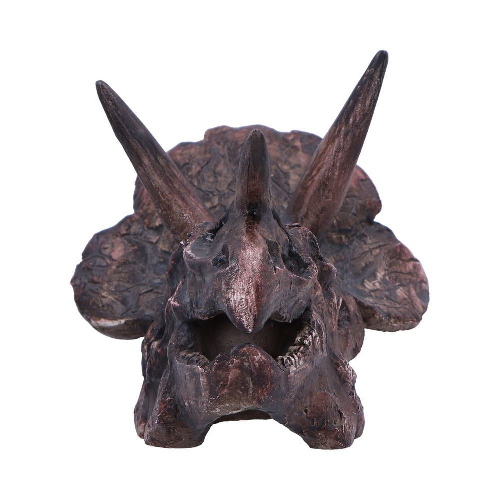 Triceratops Skull Resin Replica D7105B25
