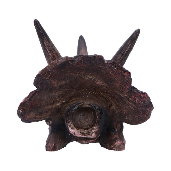 Triceratops Skull Resin Replica D7105B25