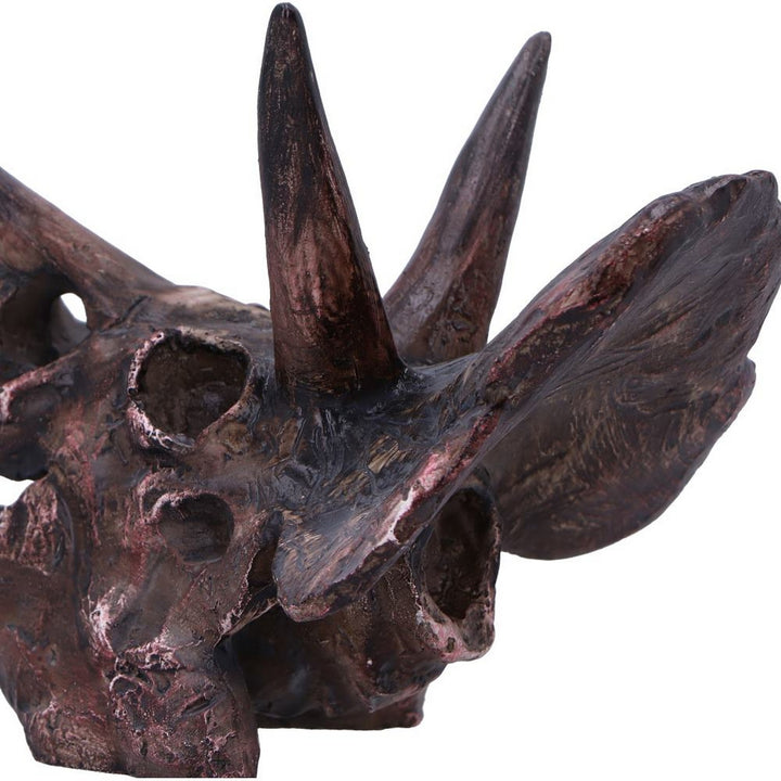Triceratops Skull Resin Replica D7105B25