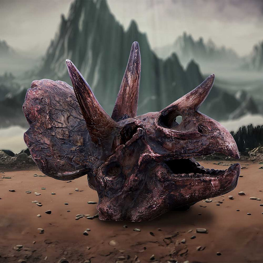 Triceratops Skull Resin Replica D7105B25