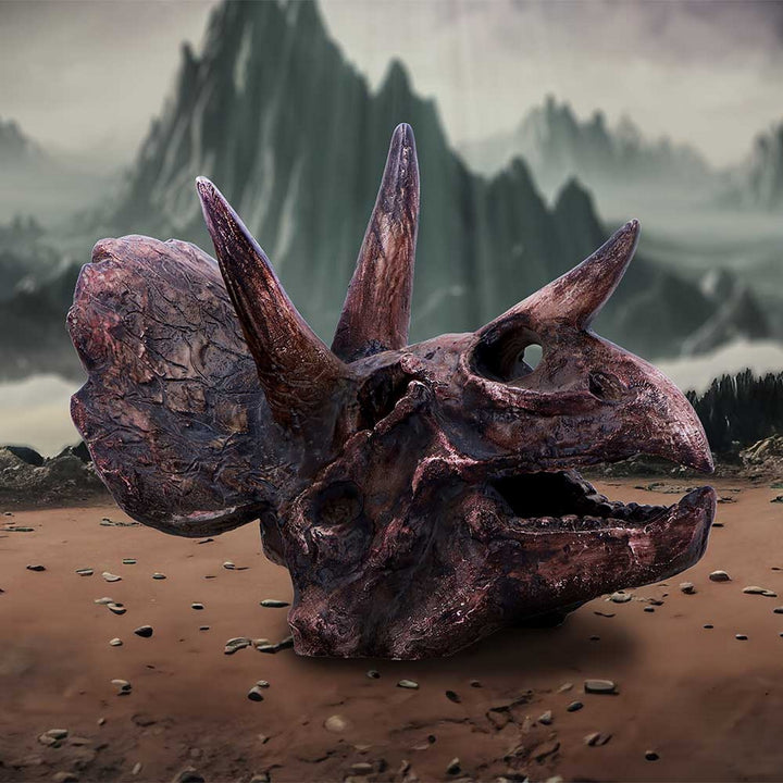 Triceratops Skull Resin Replica D7105B25