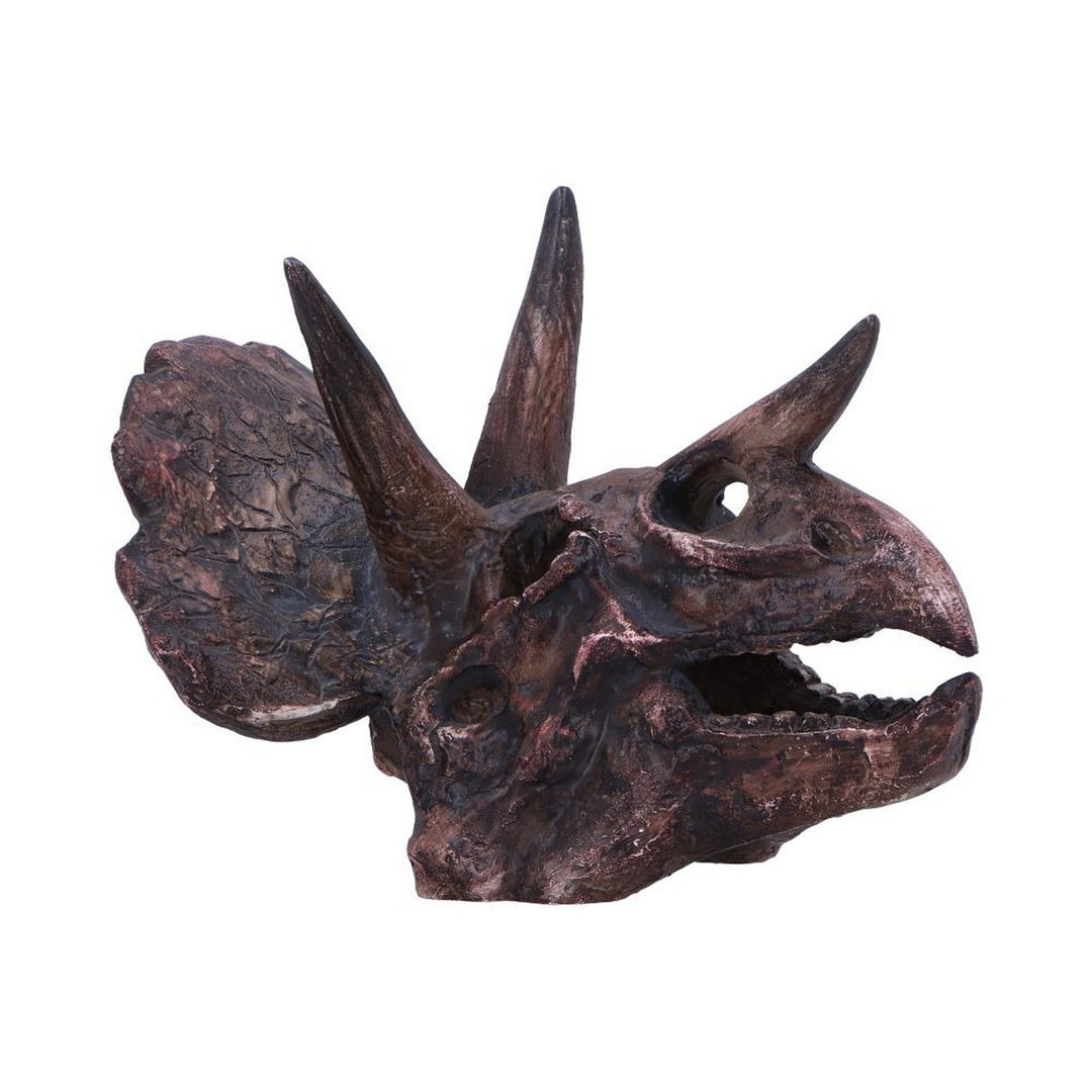 Triceratops Skull Resin Replica D7105B25