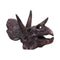 Triceratops Skull Resin Replica D7105B25