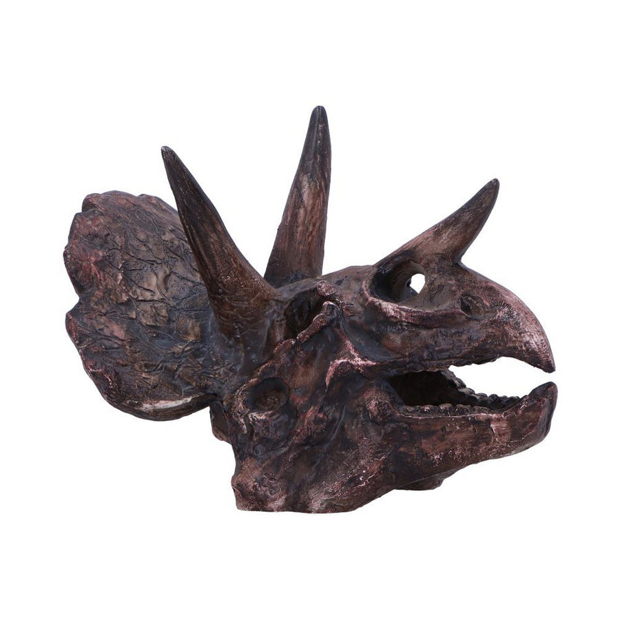 Triceratops Skull Resin Replica D7105B25