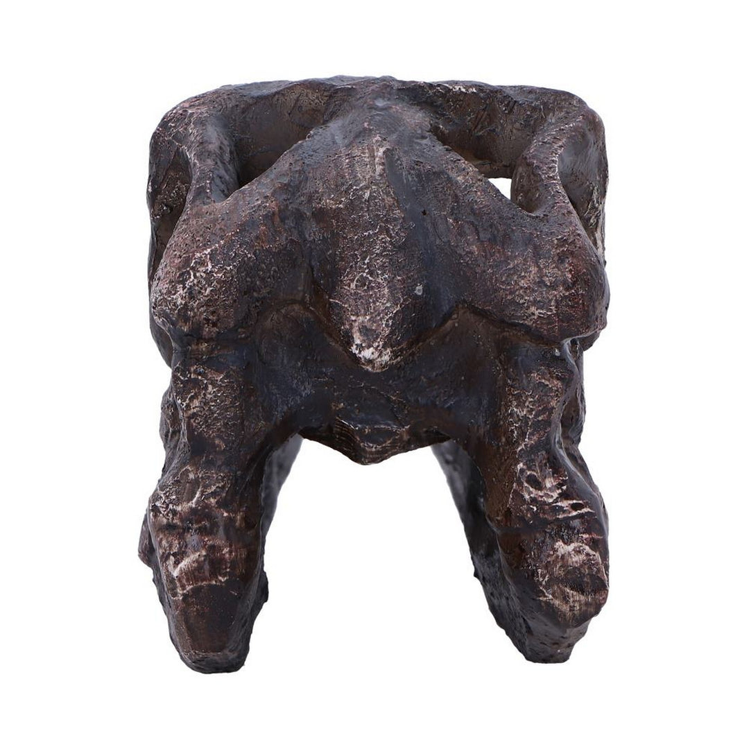 Archaeopteryx Skull Decorative Resin Replica D7106B25