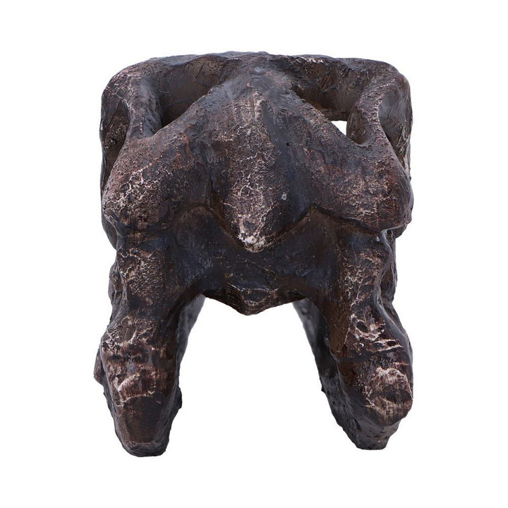 Archaeopteryx Skull Decorative Resin Replica D7106B25