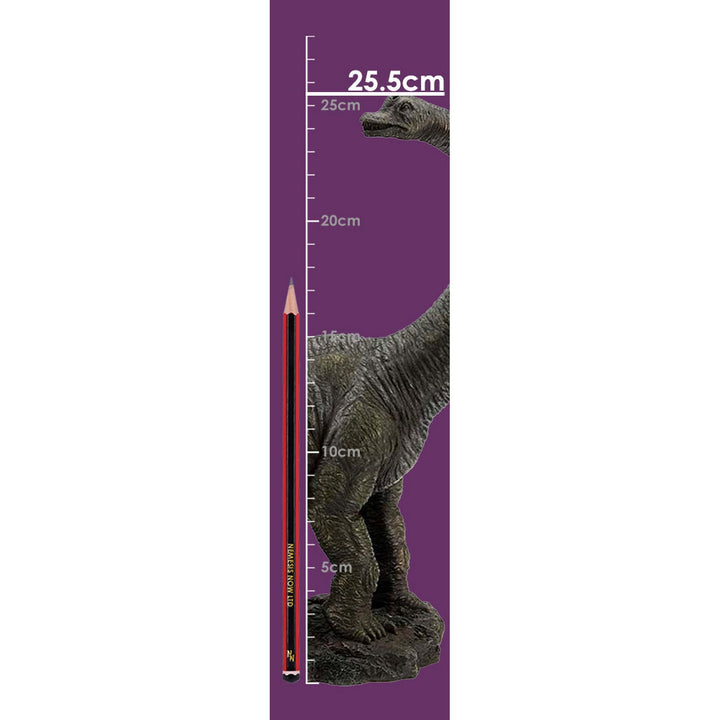 Brachiosaurus Figurine 25.5cm D7201C25