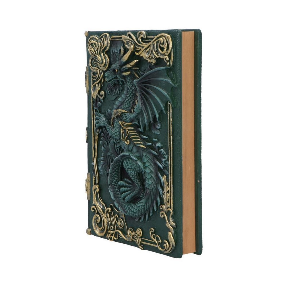 Dragon's Grimoire Journal 19.2cm D7207C25