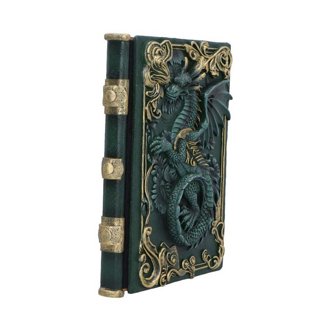 Dragon's Grimoire Journal 19.2cm D7207C25