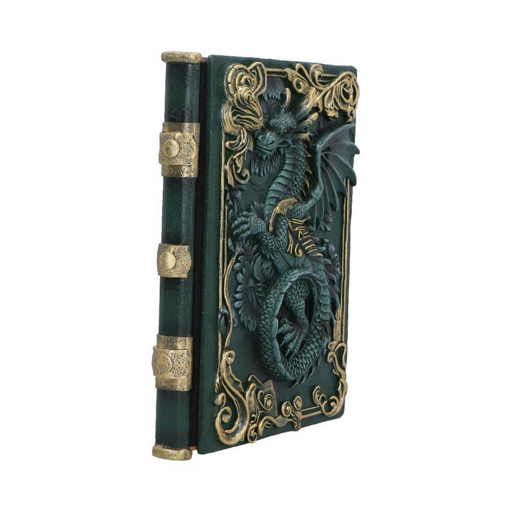 Dragon's Grimoire Journal 19.2cm D7207C25