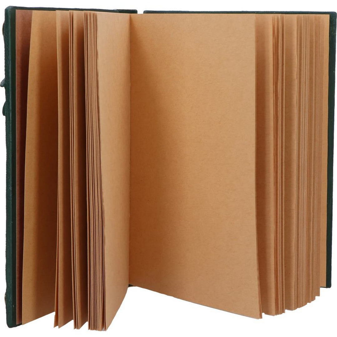 Dragon's Grimoire Journal 19.2cm D7207C25