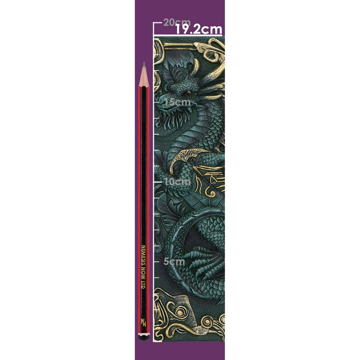Dragon's Grimoire Journal 19.2cm D7207C25