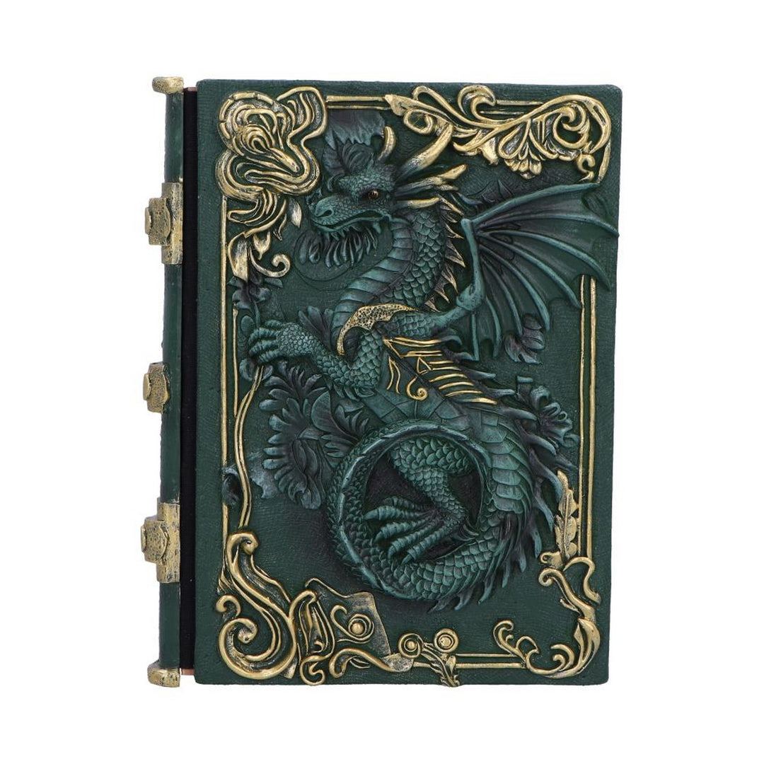 Dragon's Grimoire Journal 19.2cm D7207C25