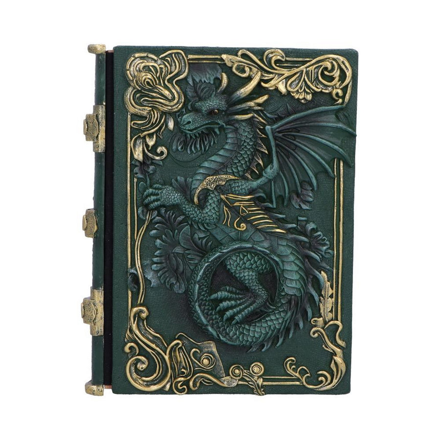 Dragon's Grimoire Journal 19.2cm D7207C25