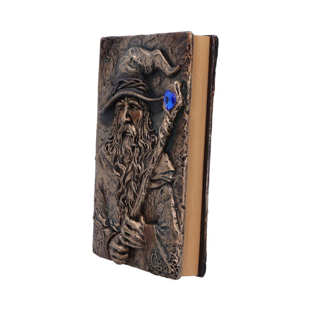 Wizard's Grimoire Journal 19cm D7208C25