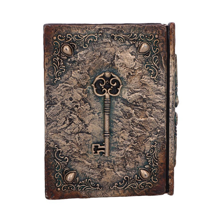 Wizard's Grimoire Journal 19cm D7208C25