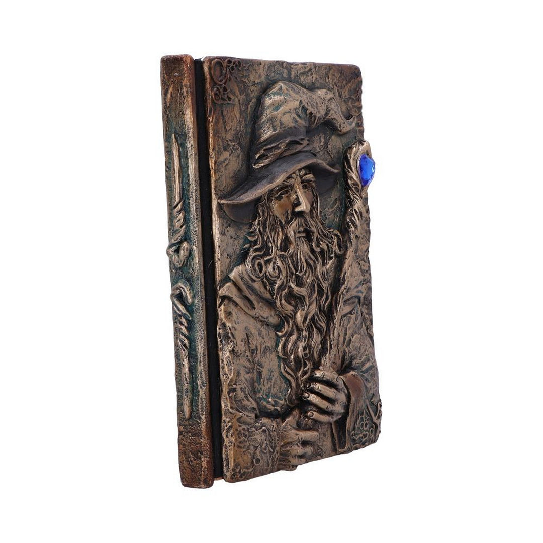 Wizard's Grimoire Journal 19cm D7208C25
