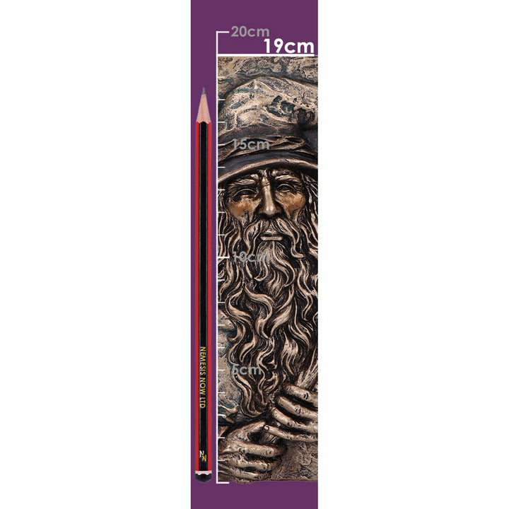 Wizard's Grimoire Journal 19cm D7208C25