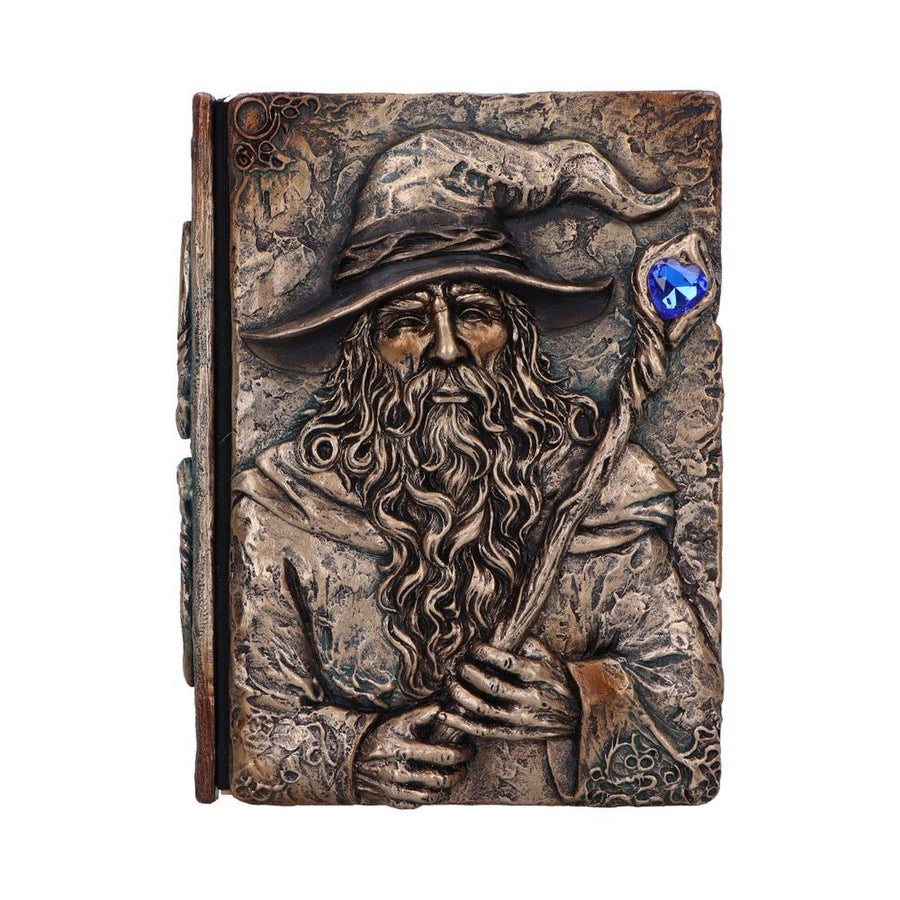 Wizard's Grimoire Journal 19cm D7208C25
