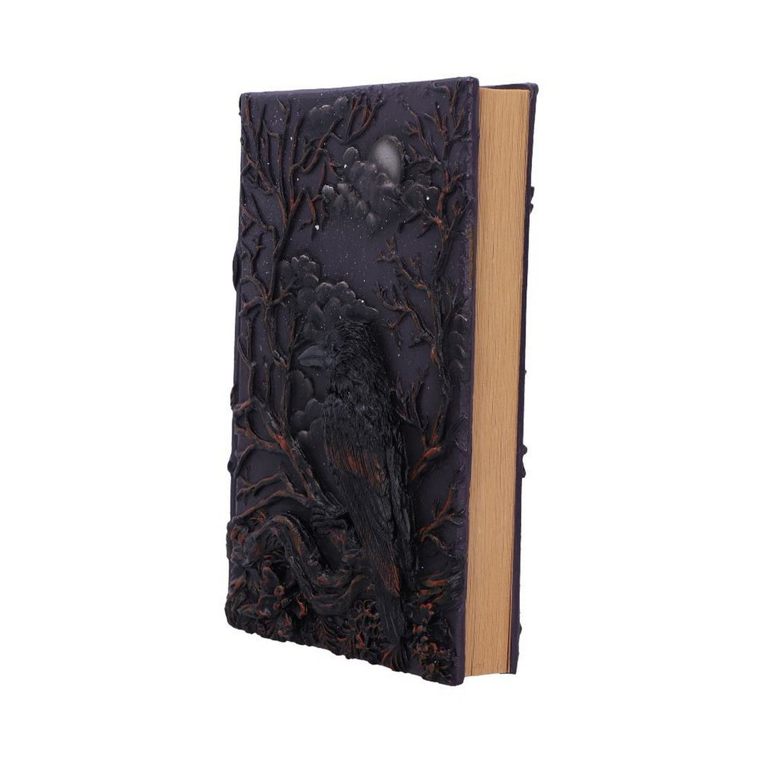 Raven's Grimoire Journal 19cm D7209C25