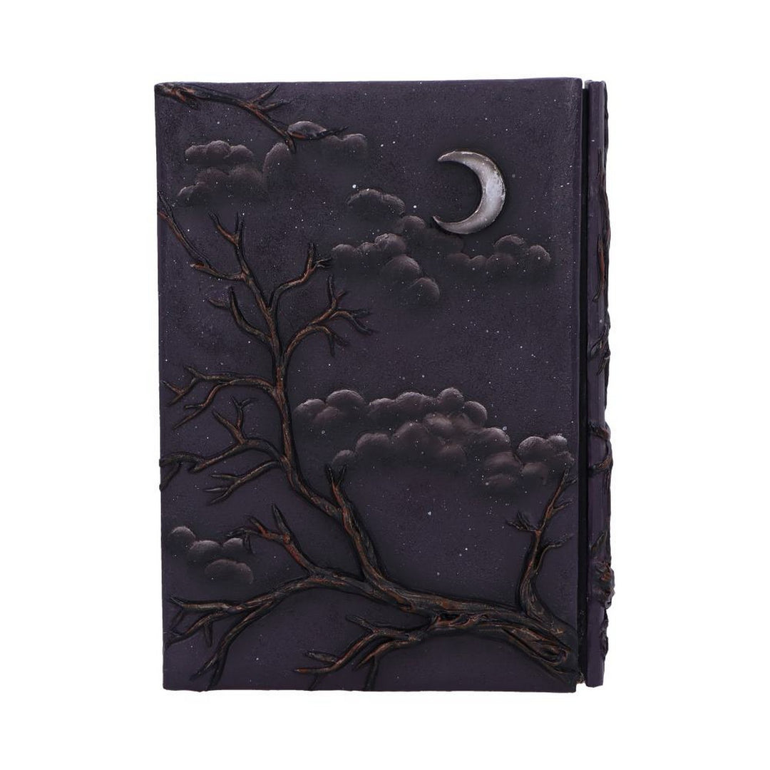 Raven's Grimoire Journal 19cm D7209C25