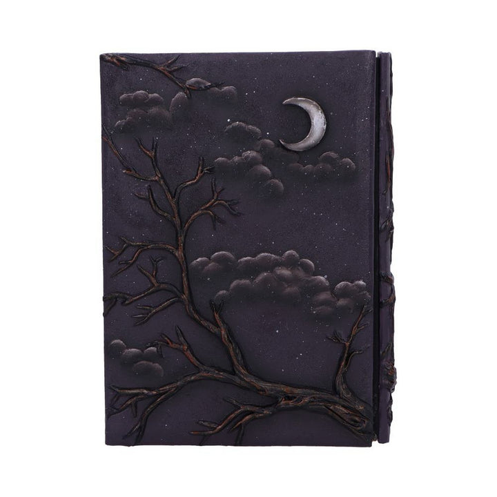 Raven's Grimoire Journal 19cm D7209C25