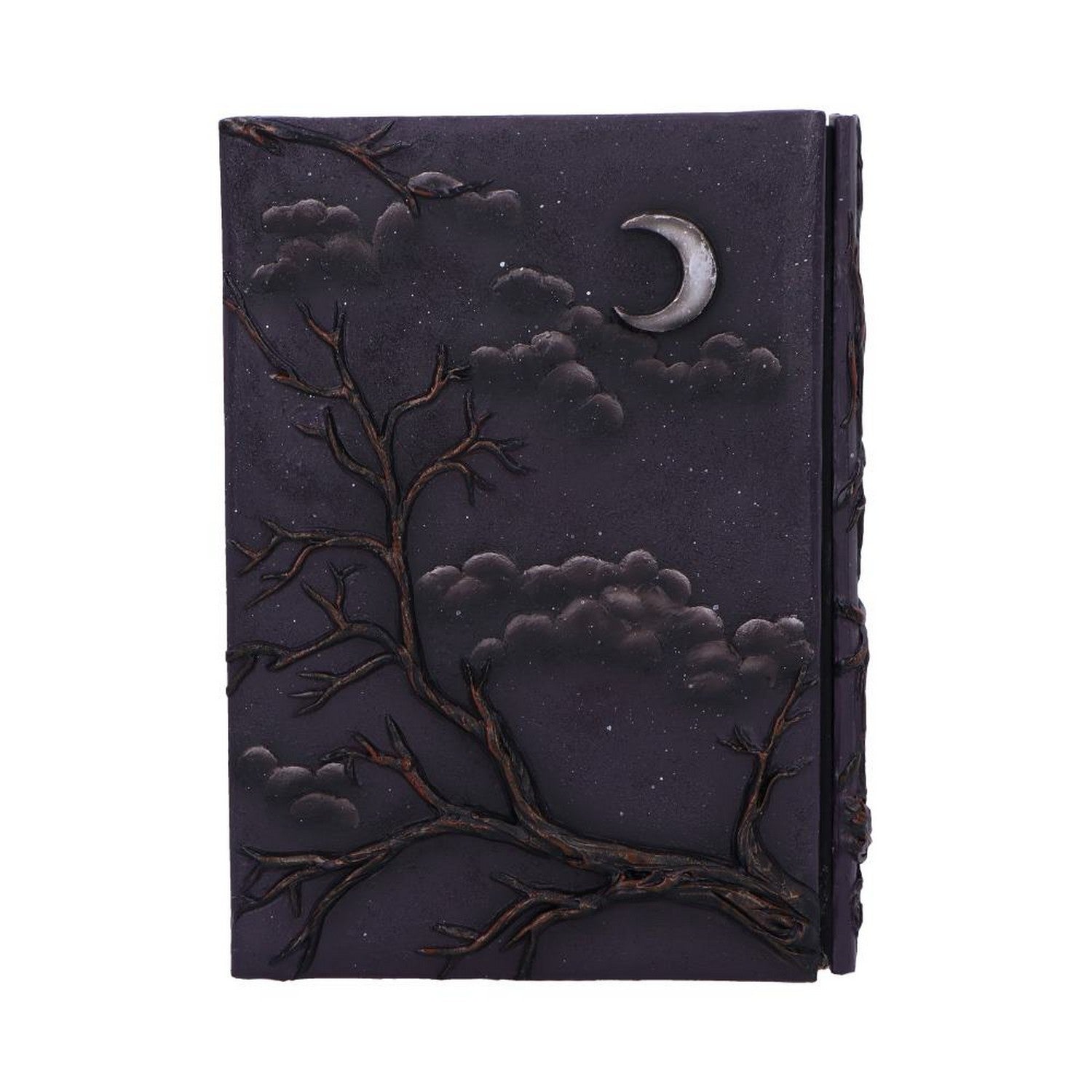Raven's Grimoire Journal 19cm D7209C25