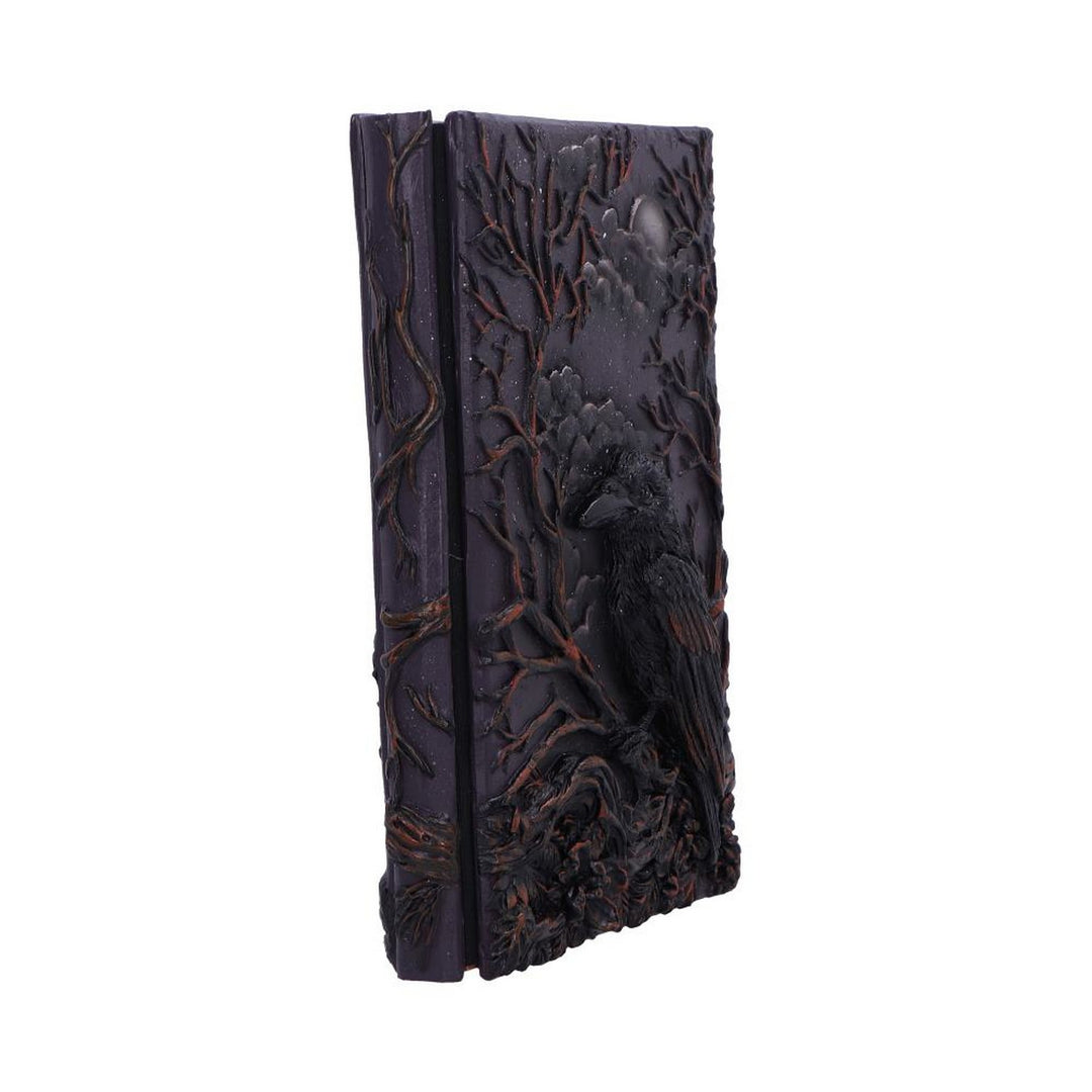 Raven's Grimoire Journal 19cm D7209C25
