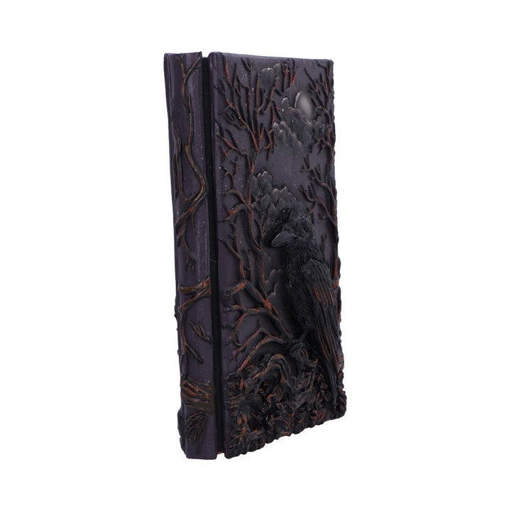 Raven's Grimoire Journal 19cm D7209C25