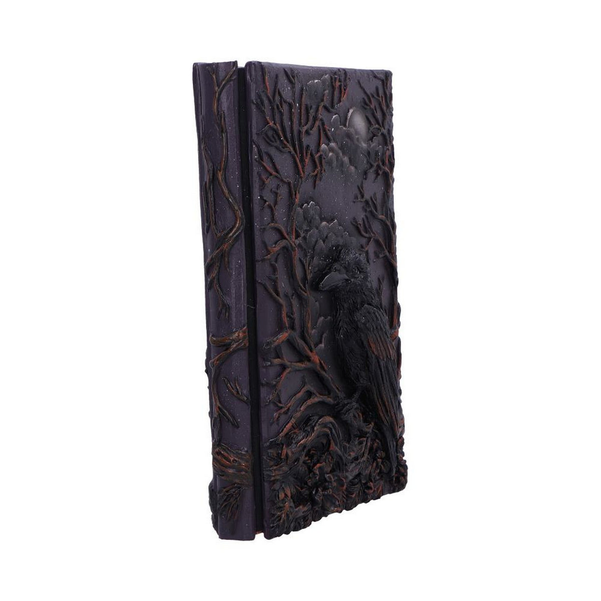 Raven's Grimoire Journal 19cm D7209C25