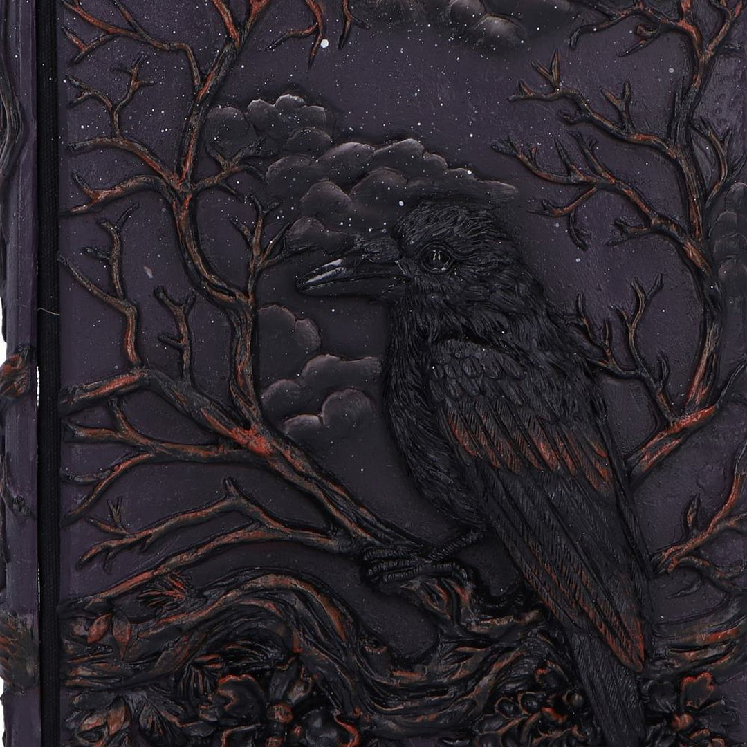Raven's Grimoire Journal 19cm D7209C25