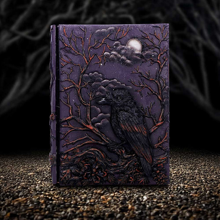 Raven's Grimoire Journal 19cm D7209C25