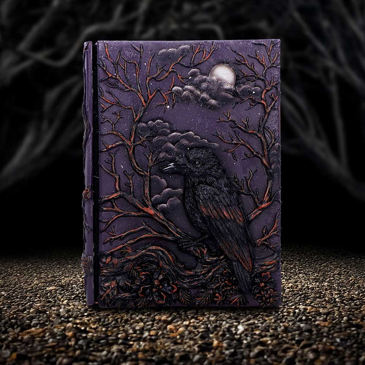 Raven's Grimoire Journal 19cm D7209C25