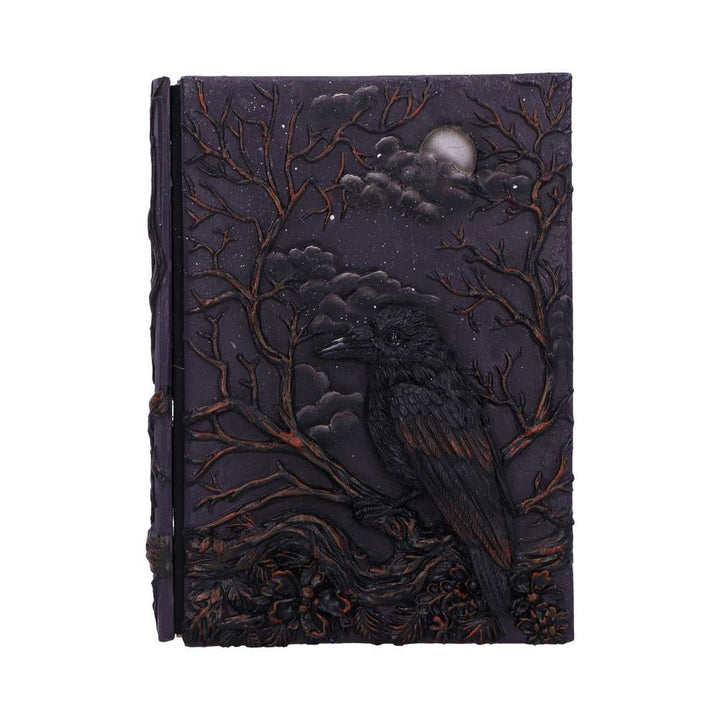Raven's Grimoire Journal 19cm D7209C25