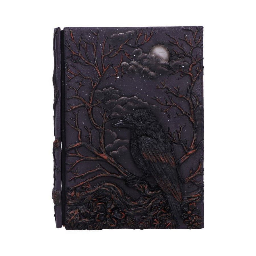 Raven's Grimoire Journal 19cm D7209C25