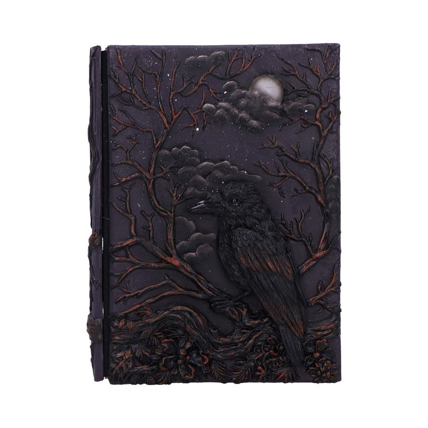 Raven's Grimoire Journal 19cm D7209C25
