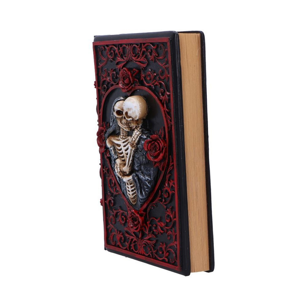 Raven's Grimoire Journal 19cm D7210C25