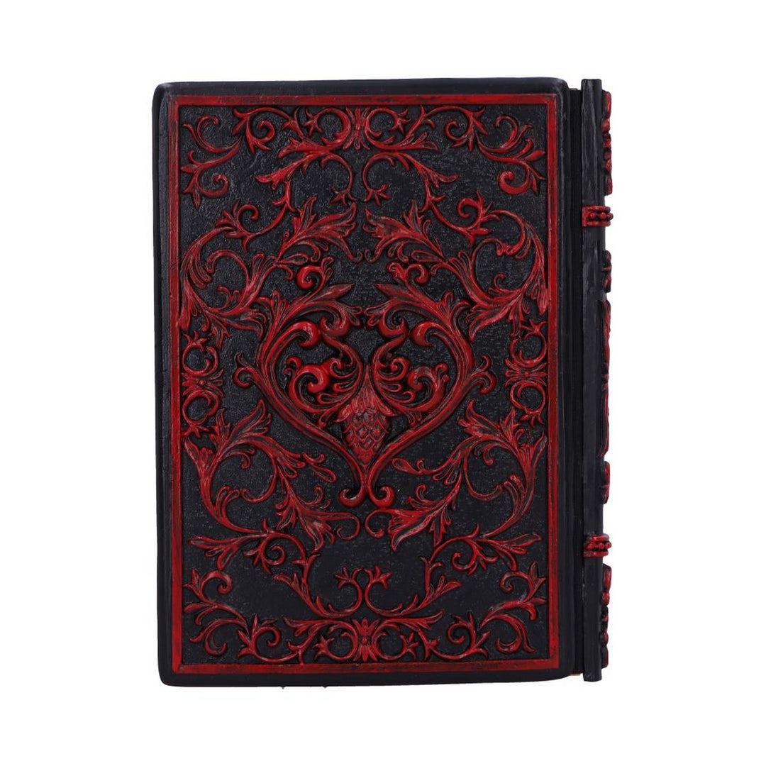 Raven's Grimoire Journal 19cm D7210C25