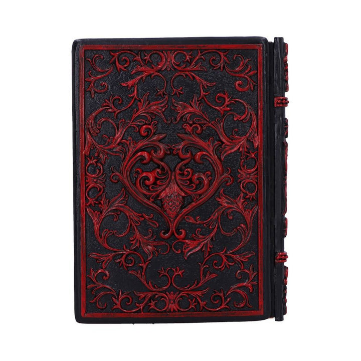 Raven's Grimoire Journal 19cm D7210C25