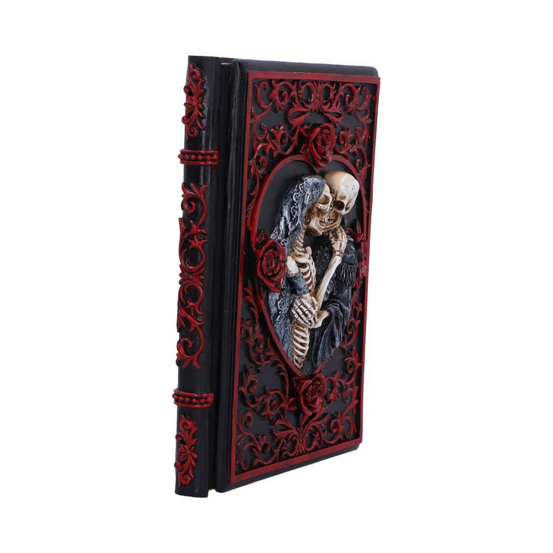 Raven's Grimoire Journal 19cm D7210C25