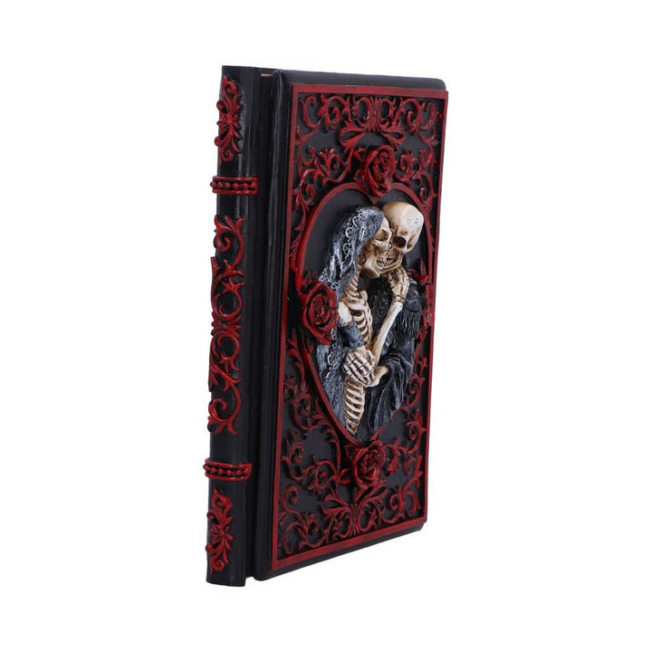 Raven's Grimoire Journal 19cm D7210C25