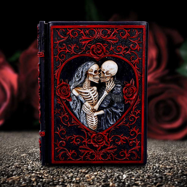 Raven's Grimoire Journal 19cm D7210C25