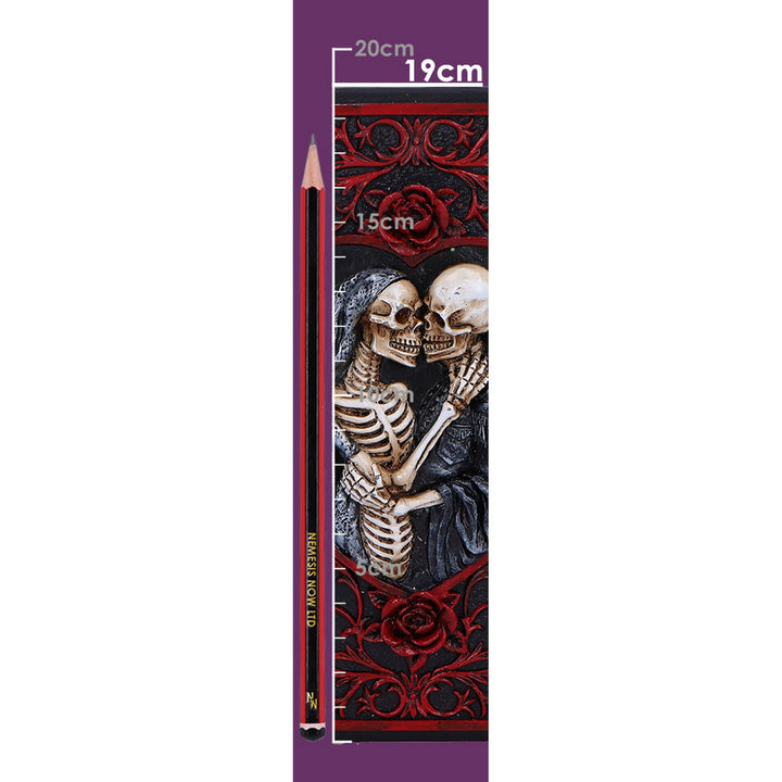 Raven's Grimoire Journal 19cm D7210C25